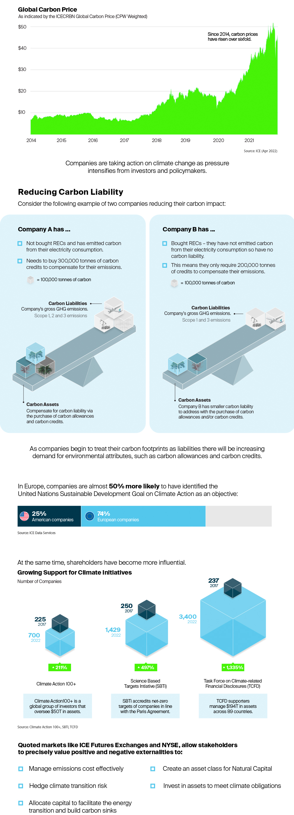 How environmental markets are advancing net zero