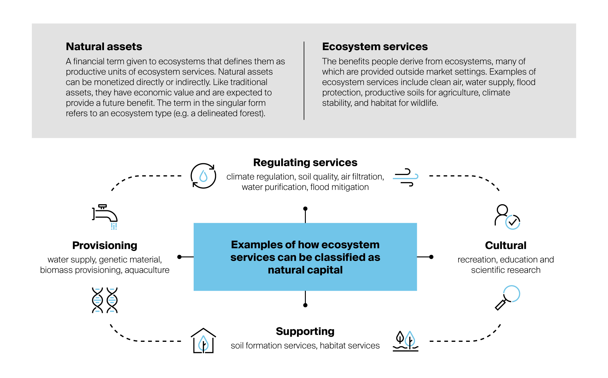 chart explaining natural assets and ecosystems services