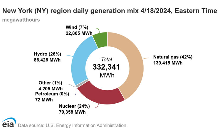 Fuel used to generate electricity for the New York region
