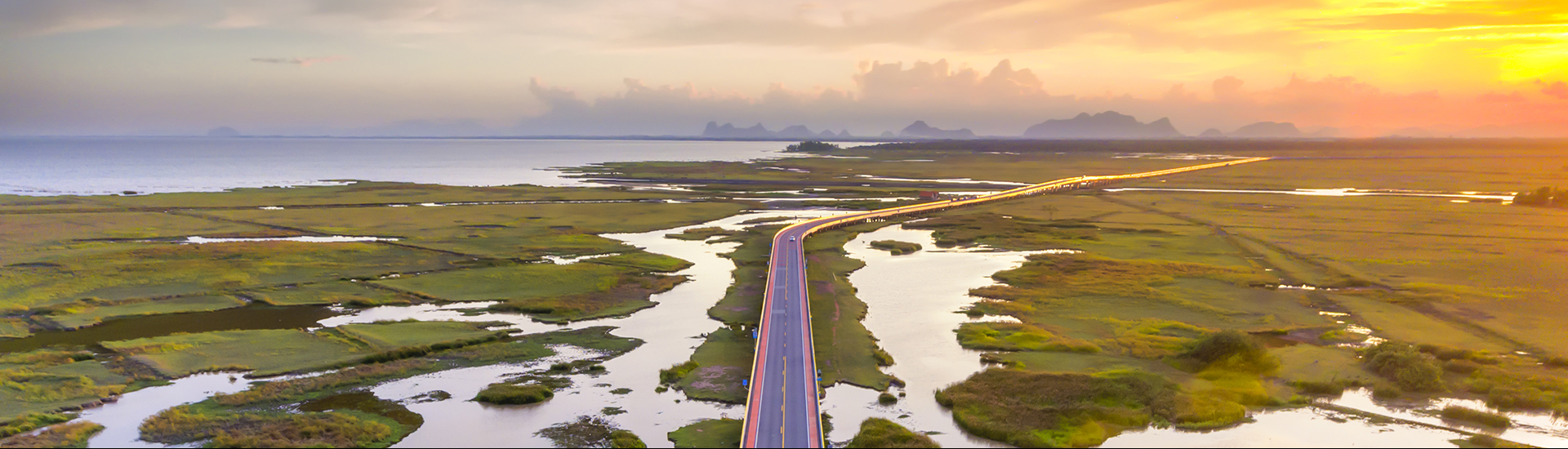 roadway in landscape