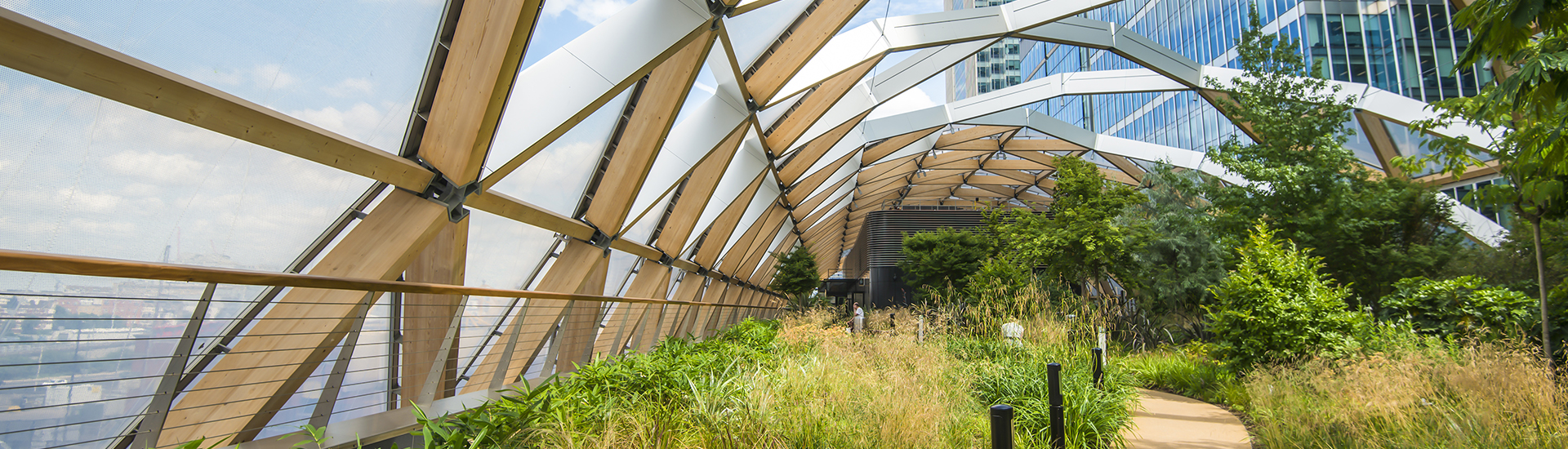 greenhouse structure with greenery