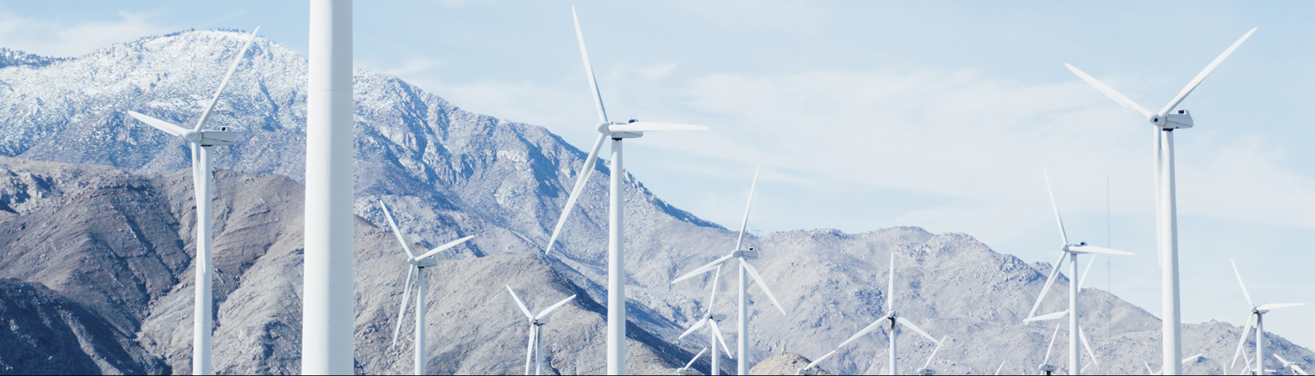 Environmental Markets