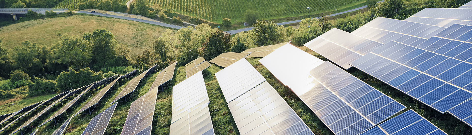 Sustainability
