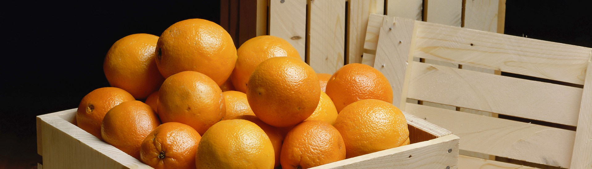 Frozen Concentrated Orange Juice