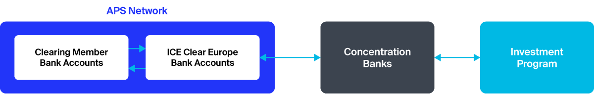 ICEU Treasury Banking Payment Flows