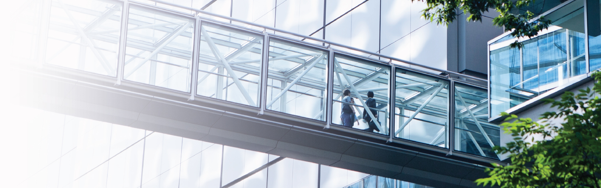 people walking across bridge into a building with greenery