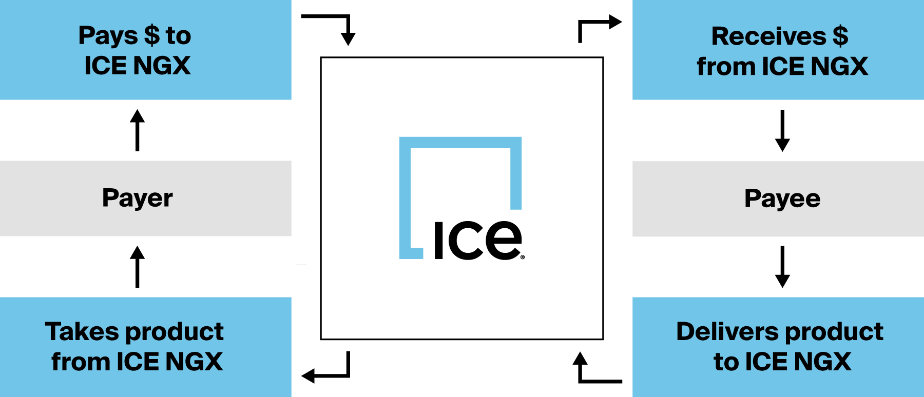 ICE NGX Clearing Operations Structure