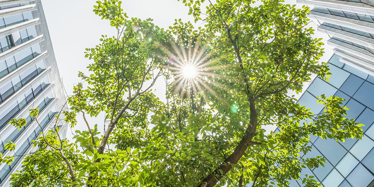 Former United Nations' Climate Action Champion for COP26, Nigel Topping